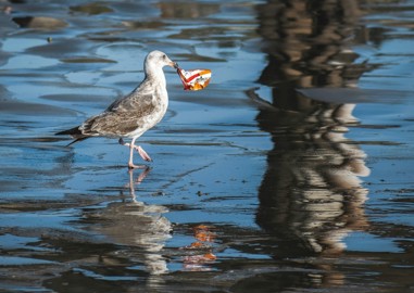 It’s Plastic Free July! Top tips for reducing your plastic usage.