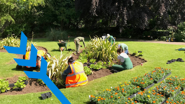 Volunteers working in the Garden