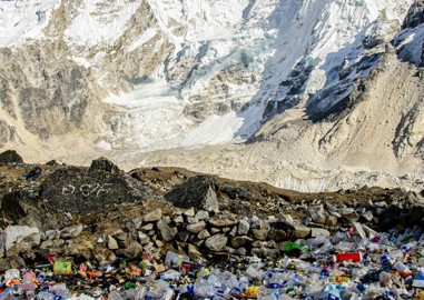 It’s Plastic Free July! So, what is the problem with plastic pollution?  