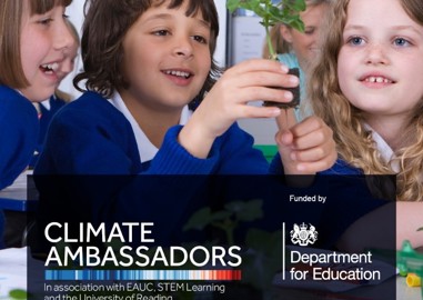 Free expert sustainability advice for schools