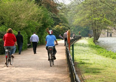 Eco-friendly New Year's resolutions